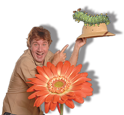 The Caterpillar Hunter